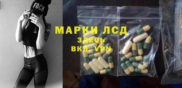 прущие грибы Абдулино