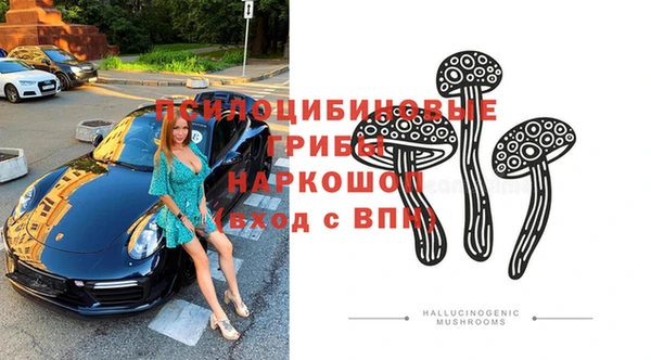 сатива Липки