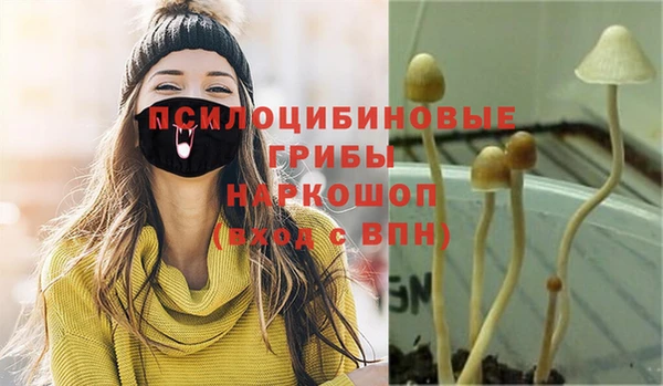 сатива Липки