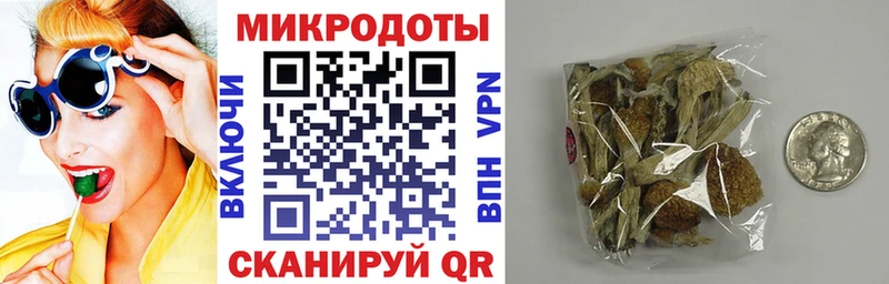 где можно купить наркотик  Кисловодск  Псилоцибиновые грибы GOLDEN TEACHER 