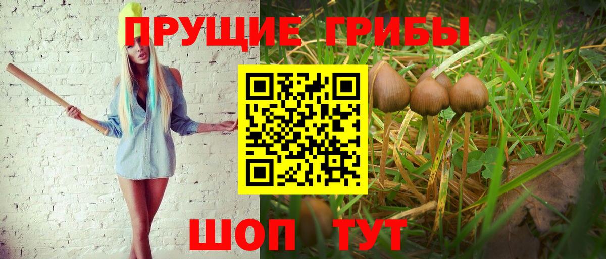 Галлюциногенные грибы Magic Shrooms  Вход с VPN  Псилоцибиновые грибы Cubensis  даркнет сайт  Кисловодск 