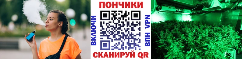 Марихуана Amnesia  omg как войти  Кисловодск 